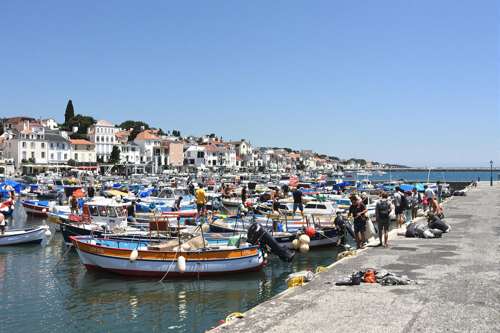 Saveurs marines du Pays Basque : rencontre entre océan et culture