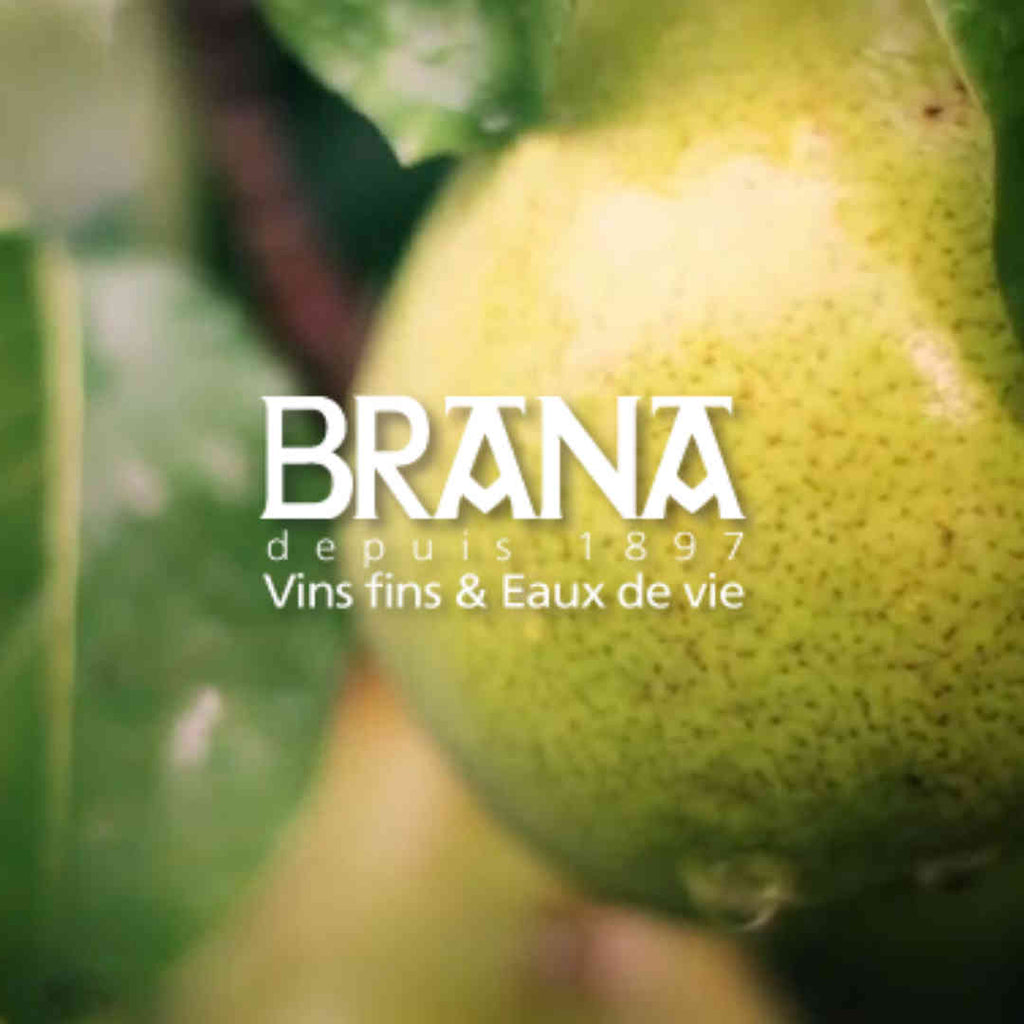 Coffret bois Poire BRANA by BRANA - Ispoure / Basse Navarre - Pays-Basque - FRESKOA STORE