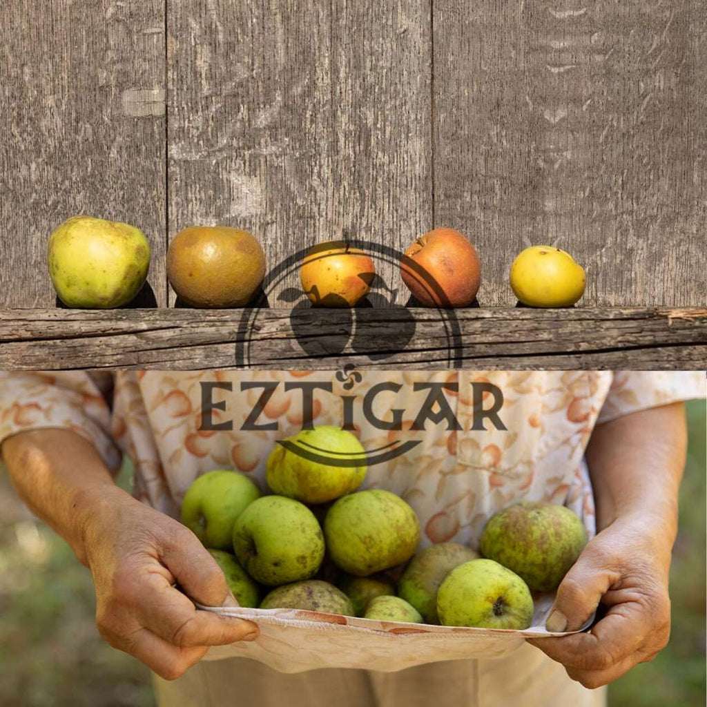 Jus pommes artisanal naturel 25cL - le pressoir du pays basque Bardos